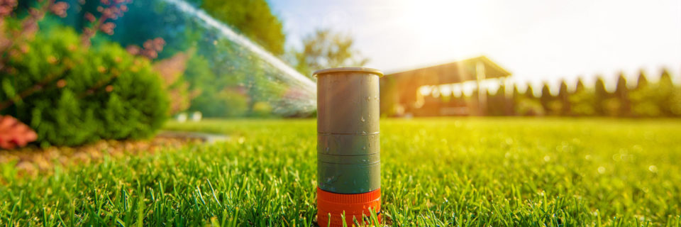 Highly-efficient lawn sprinkler 
and drip irrigation systems.